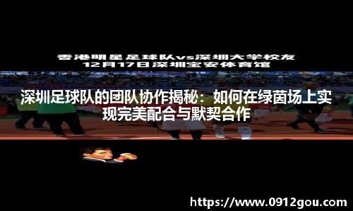 深圳足球队的团队协作揭秘：如何在绿茵场上实现完美配合与默契合作