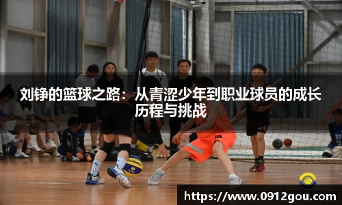 evo视讯平台